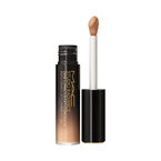 Studio Radiance 24HR Luminous Lift Concealer - NC17​