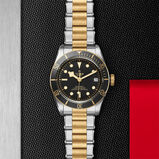 Black Bay S&amp;G 41mm Stainless Steel, , hi-res