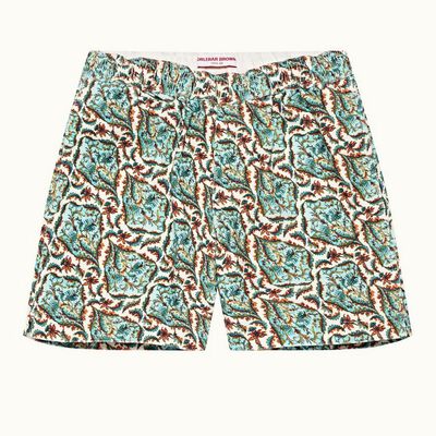 Louis Prairie Paisley Multi