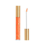 Gloss à Lèvres - 314 Sadie Coral
