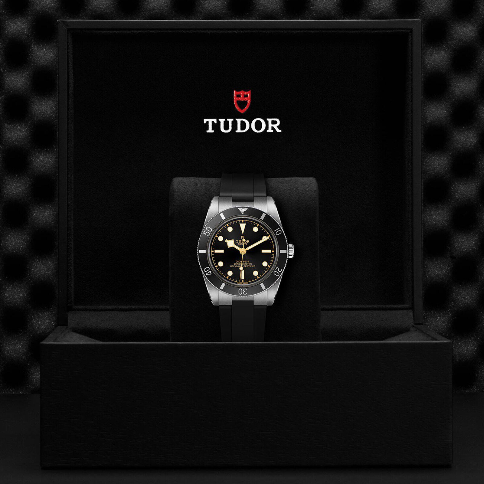 Tw00zr254 shop