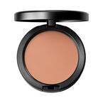 Powder Plus Foundation  - NW25​