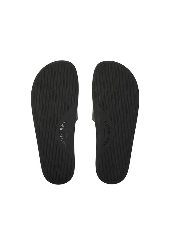 Check Slides, , hi-res