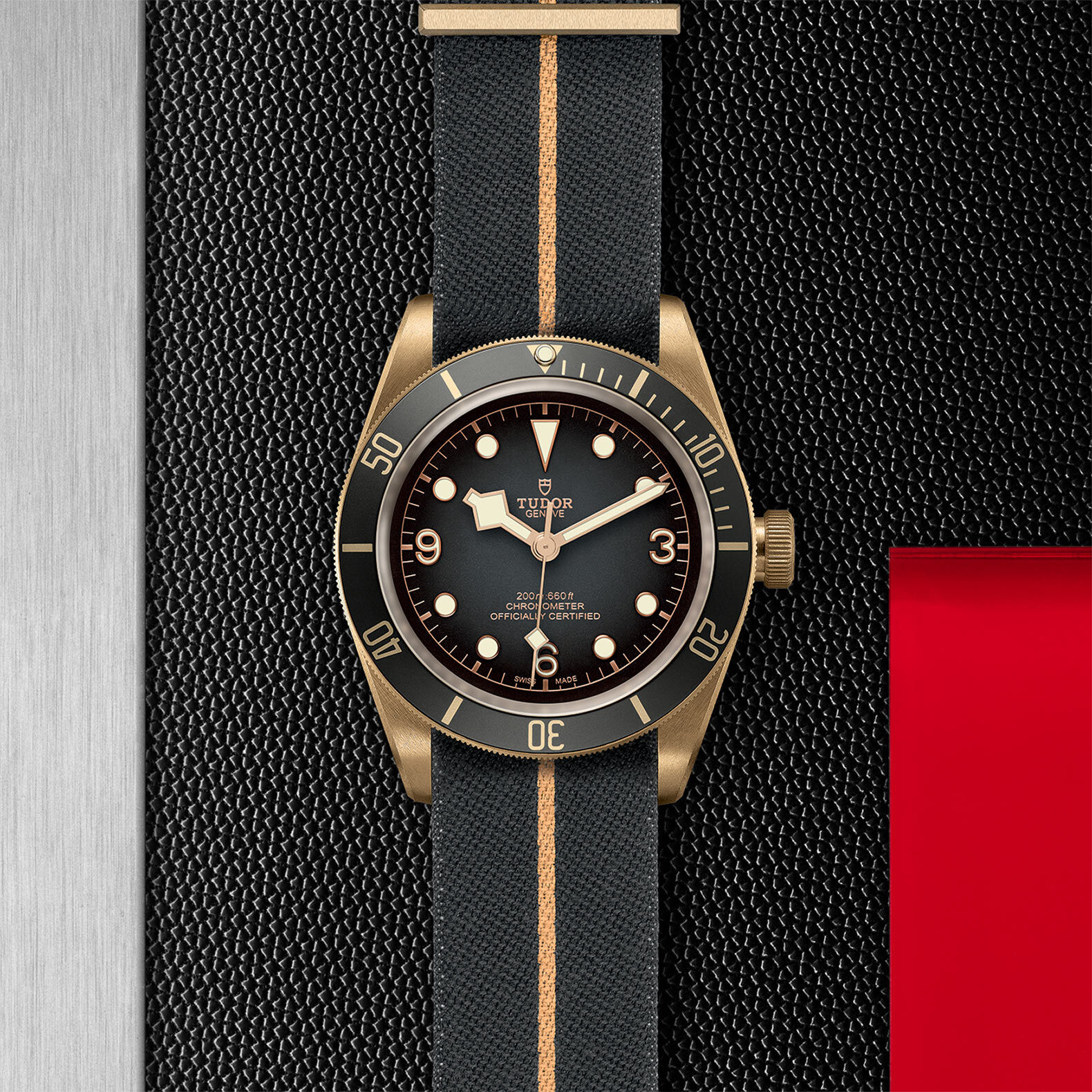 Tudor black cheap bay bronze homage