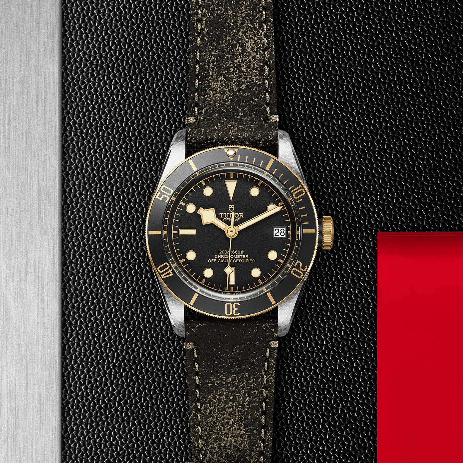 Heritage black bay s&g discount