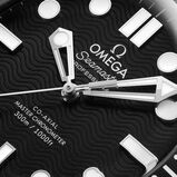 Seamaster Diver 300M Black Dial 42mm Automatic Mens Watch, , hi-res