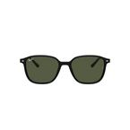 Leonard 0RB2193 - Black-G-15 Green