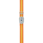 Lock Strap - Straps Assorted