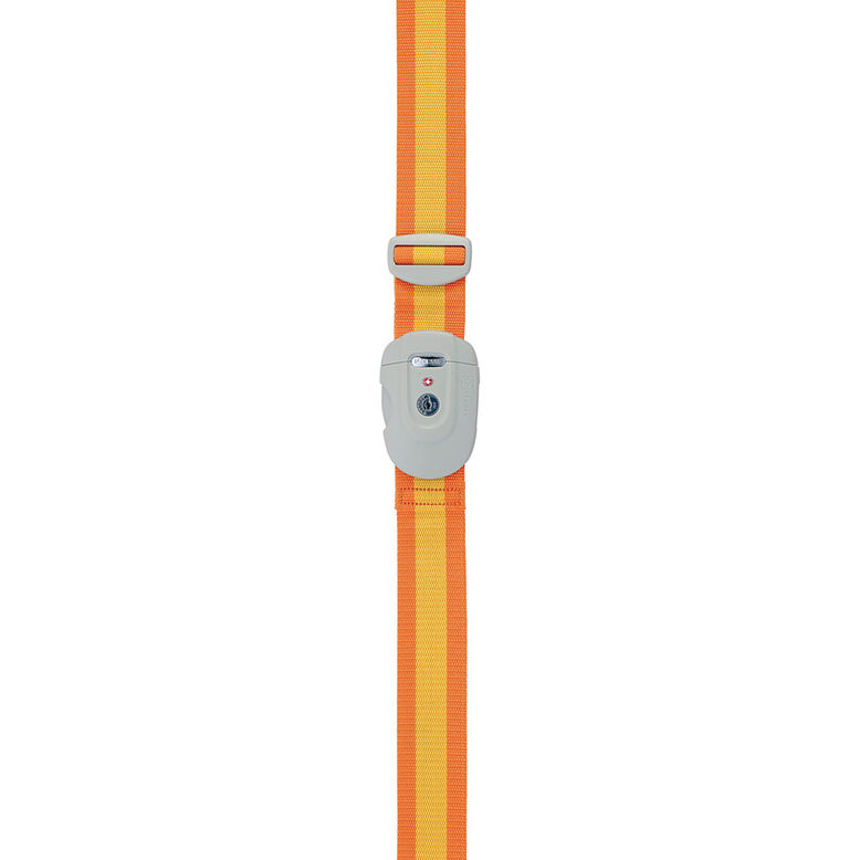 Lock Strap - Straps Assorted, , hi-res