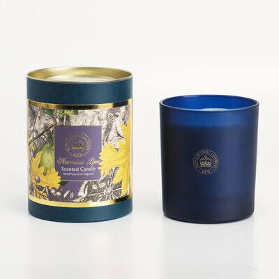 Kew gardens narcissus lime candle 200g