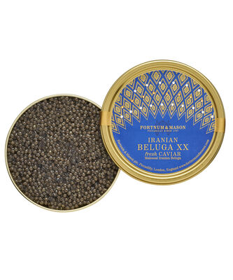Beluga Caviar XX