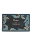 HRDS DARK SALTED CARAMEL TRUFFLE 15PC