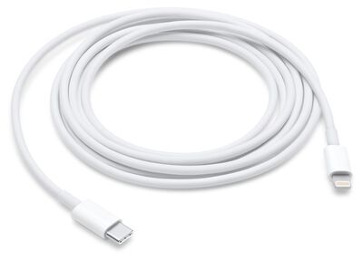 Apple Lightning to USB Cable 2m