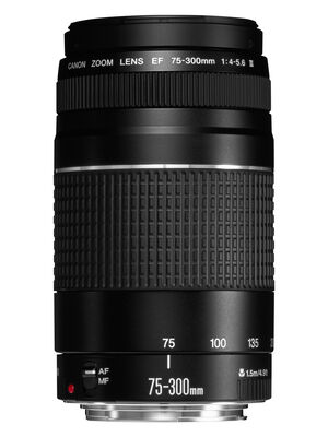 Canon EF Lens 75 300mm