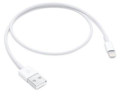 Apple Lightning to USB Cable 0.5m