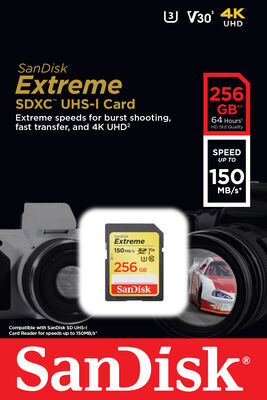 SanDisk Extreme SDXC UHSI Card 256GB