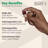 Nutriburst Ashwagandha KSM-66 Sugar-Free Gummies, , hi-res