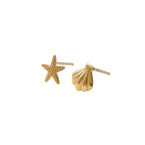 Starfish and Shell Stud Earrings with Yellow Gold Plating