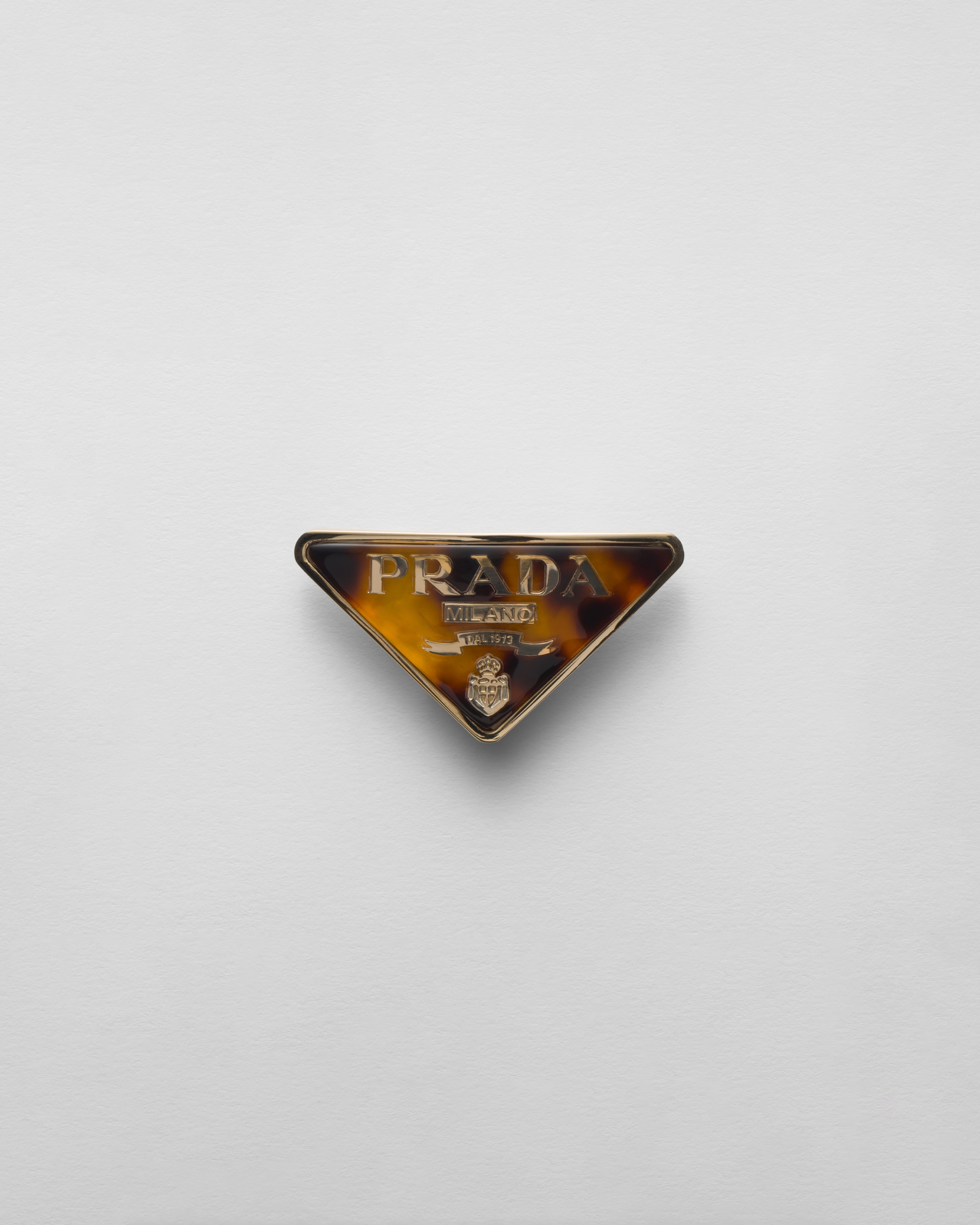 Plexiglas and metal hair clip