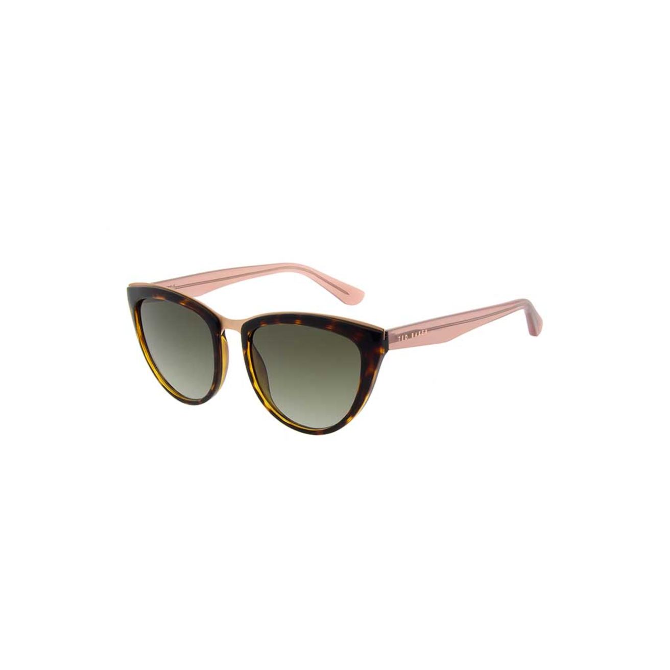 Petrine Tortoise Gradient TB1567 122 Tort Reserve Collect